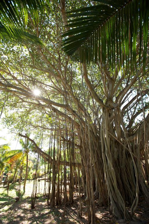 Lux* Grand Gaube Resort & Villas Exterior foto Banyan tree